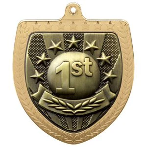 Cobra 1st Place Shield Medal