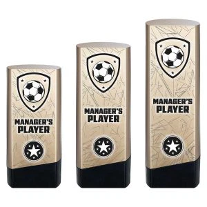 Prime Heavyweight Managers Player