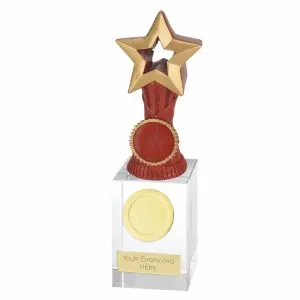 Orb Red Star Award on a Clear Crystal Merit Base