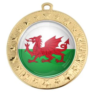VF Star Country Wales Medal 70mm