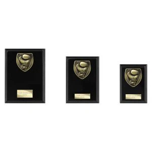 Cobra Plaque Boxing Award