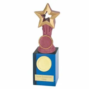 Orb Pink Star Award on a Blue Crystal Merit Base
