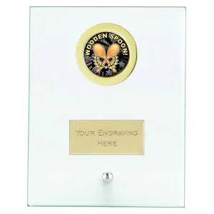 Crest Personalised Booby Prize Wooden Spoon Glass Plaque with Trim and Chrome Pin