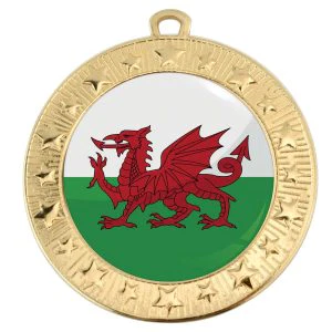 VF Star Country Wales Flag Medal 70mm