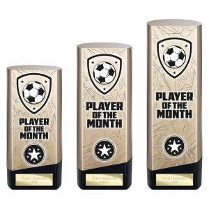 Prime Heavyweight Player of Month