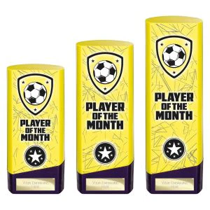 Prime Heavyweight Player of Month